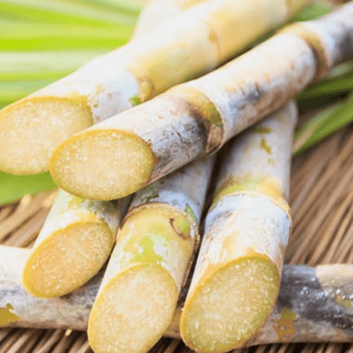 Organic sugarcane