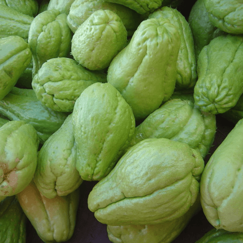 Organic chayote